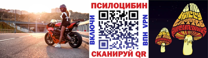 Псилоцибиновые грибы Psilocybe  Благовещенск 