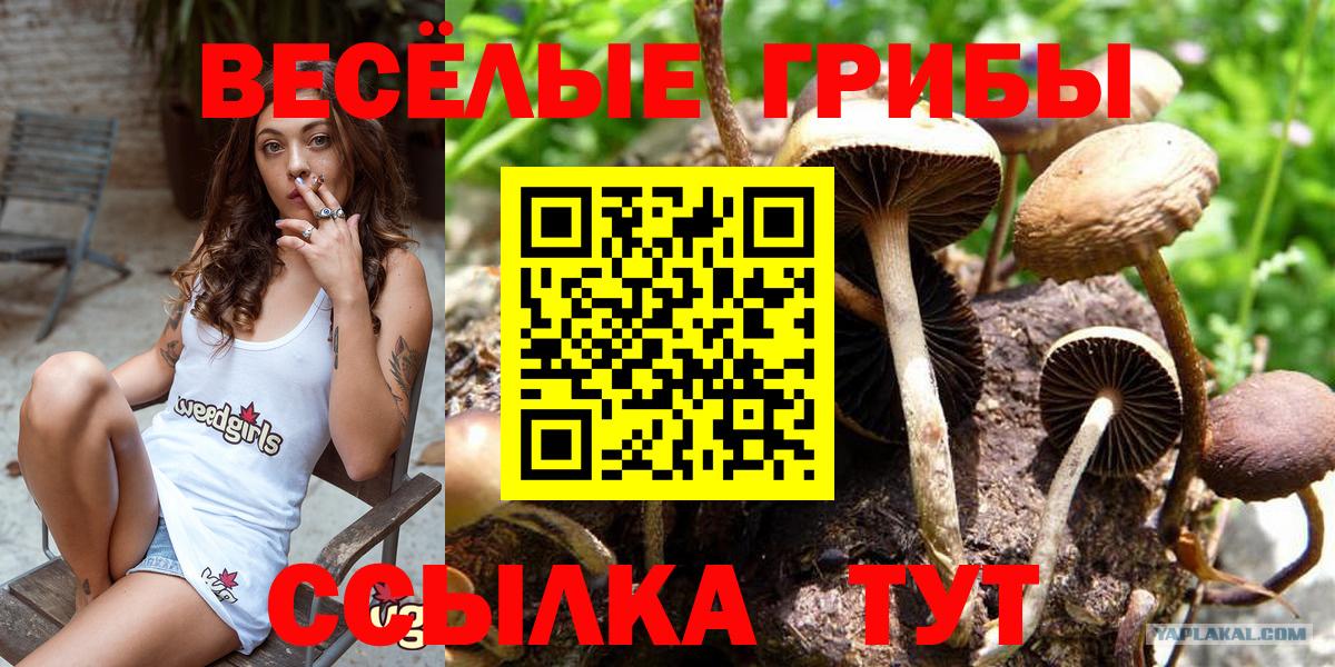 Галлюциногенные грибы MAGIC MUSHROOMS  Вход с VPN  Псилоцибиновые грибы MAGIC MUSHROOMS  Благовещенск 